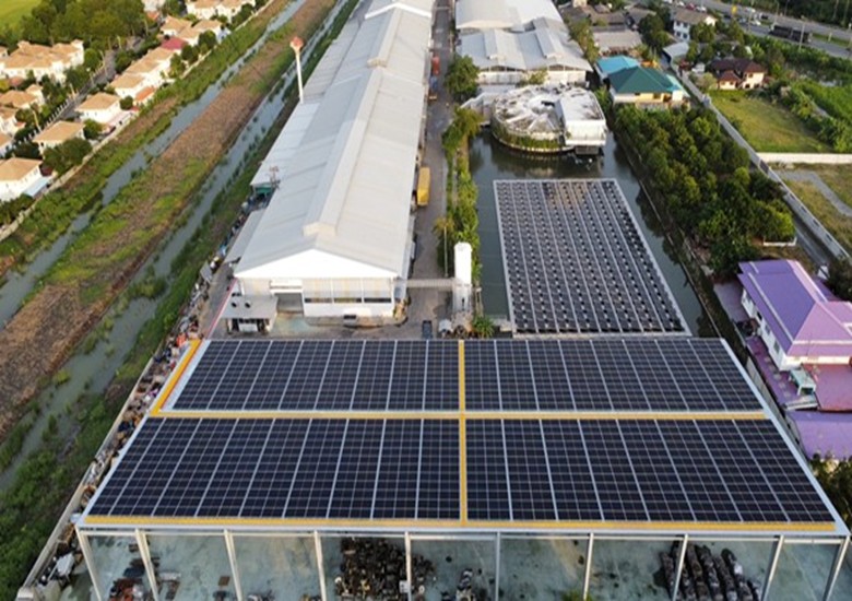 Solar Radicon Project